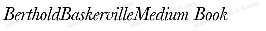 BertholdBaskervilleMedium Book字体转换